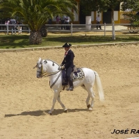 Foto de Jerez  de la Frontera