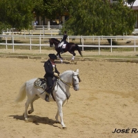Foto de Jerez  de la Frontera