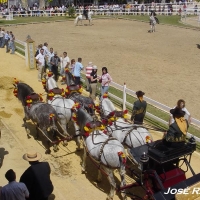 Foto de Jerez  de la Frontera