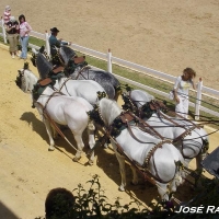 Foto de Jerez  de la Frontera