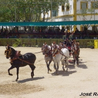 Foto de Jerez  de la Frontera