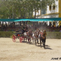 Foto de Jerez  de la Frontera