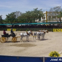 Foto de Jerez  de la Frontera