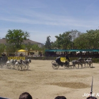 Foto de Jerez  de la Frontera