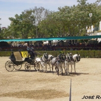 Foto de Jerez  de la Frontera