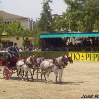 Foto de Jerez  de la Frontera