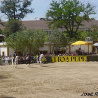 Foto de Jerez  de la Frontera