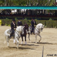 Foto de Jerez  de la Frontera