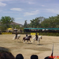 Foto de Jerez  de la Frontera