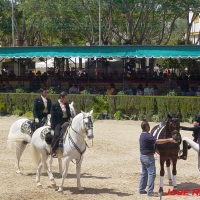 Foto de Jerez  de la Frontera