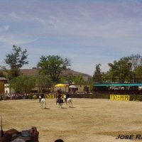Foto de Jerez  de la Frontera