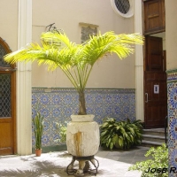 Foto de Gibraltar