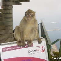 Foto de Gibraltar
