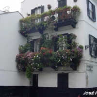 Foto de Gibraltar