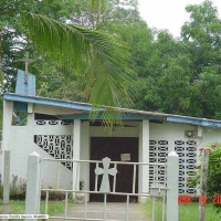 Foto de Bejuco de Parrita