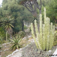 Foto de Gibraltar