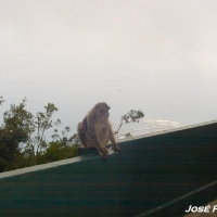Foto de Gibraltar