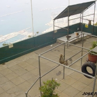 Foto de Gibraltar