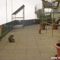 Foto de Gibraltar