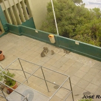 Foto de Gibraltar