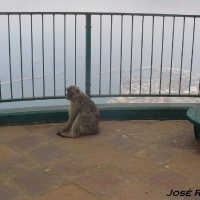 Foto de Gibraltar