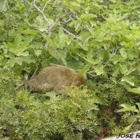 Foto de Gibraltar