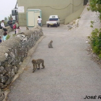 Foto de Gibraltar