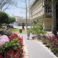 Foto de Jedera