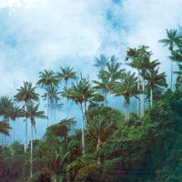 Foto de CUTERVO- SAN ANDRES