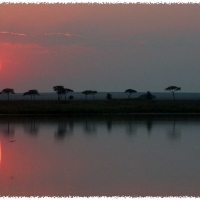 Foto de Serengeti