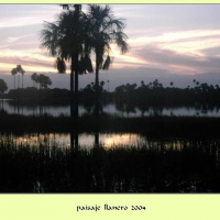Foto de Llanos