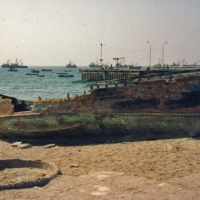 Foto de Mejillones