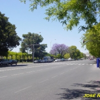 Foto de Sevilla