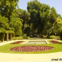 Foto de Sevilla