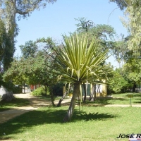 Foto de Sevilla
