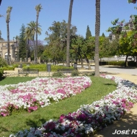 Foto de Sevilla