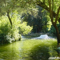 Foto de Sevilla