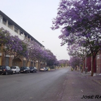 Foto de Jerez  de la Frontera