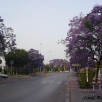 Foto de Jerez  de la Frontera