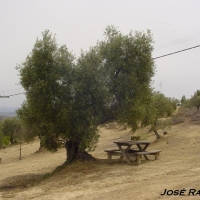 Foto de Olvera