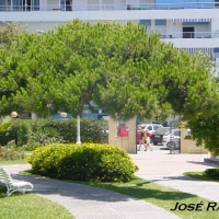 Foto de Rota