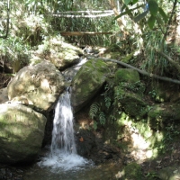 Foto de Guarne