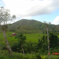 Foto de MICHES