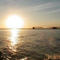 Foto de Estero de Jaltepeque