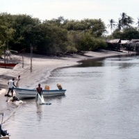Foto de Isla Tasajera