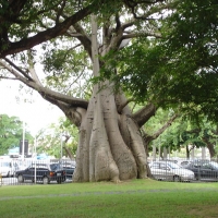 Foto de Recife
