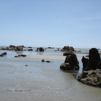 Foto de Punta Grossa