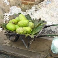 Foto de Olinda