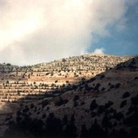 Foto de Chouf