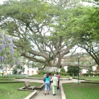 Foto de Charalá